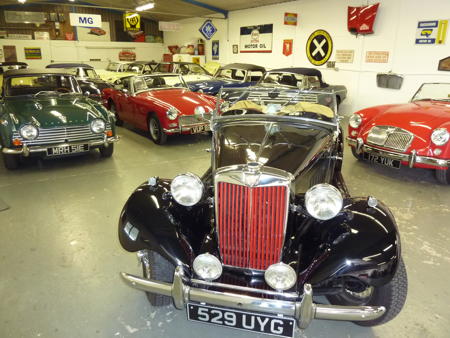 VARIED SELECTION of cars