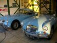 Iris blue MGA Roadster and Coupe